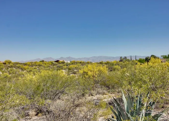 Eclectic 2 Mi To Saguaro National Park * Tucson